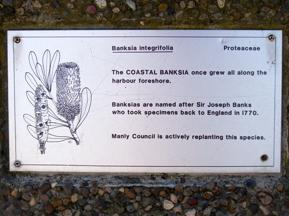 Sign at Manly Beach