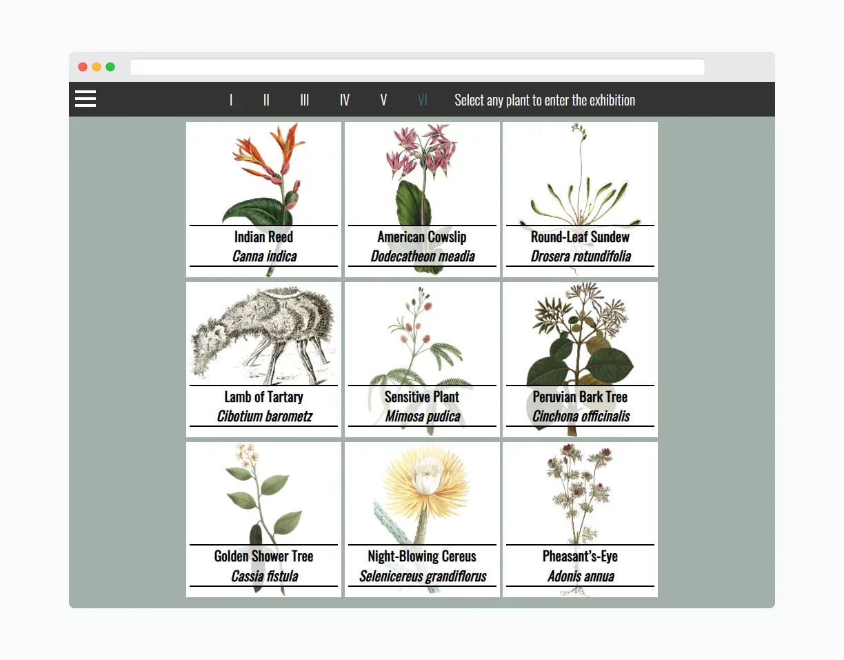 Screenshot from exhibition showing 9 plants