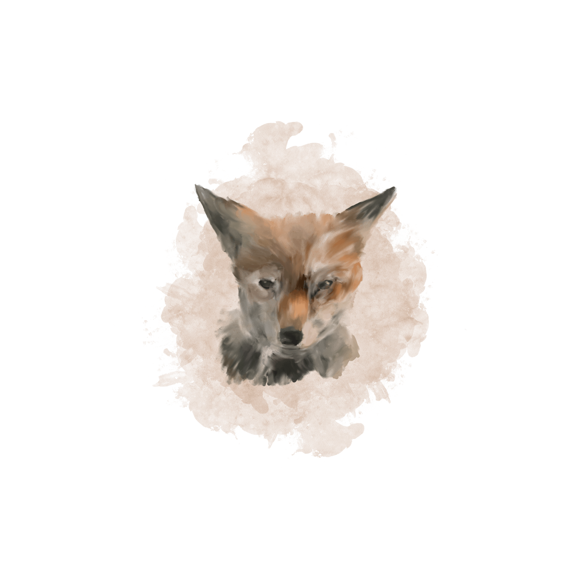 Fox portrait