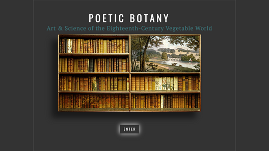 Poetic botany exhibit entry