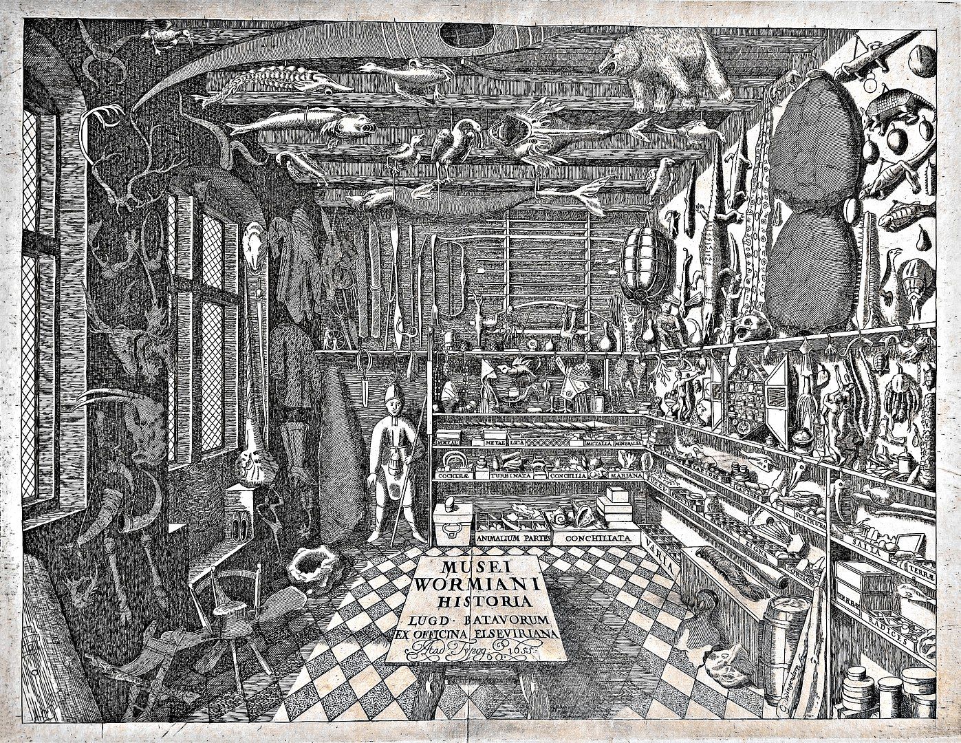 History of Biology